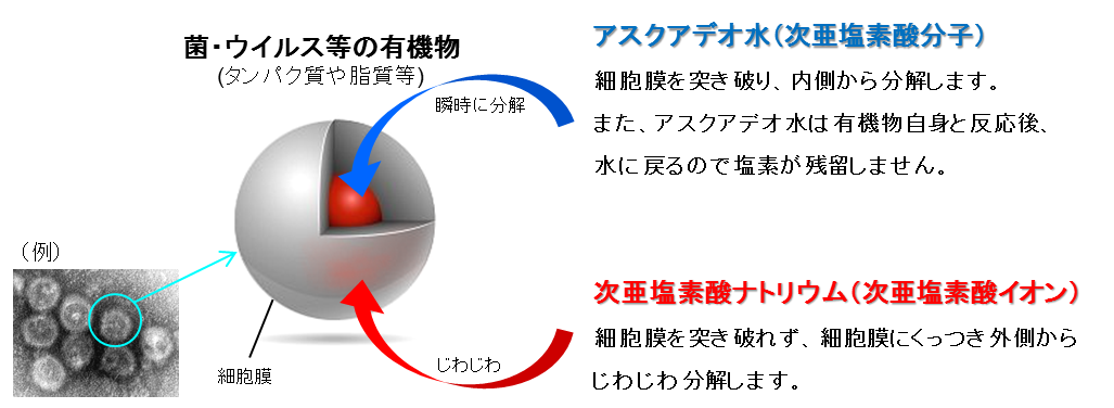 図：アスクアデオ水の除菌消臭のメカニズム